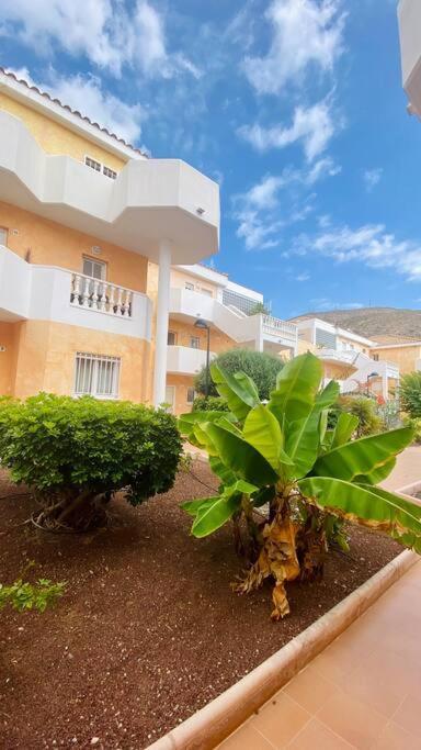 Golden Suite Ocean View & Pool Los Cristianos  Kültér fotó